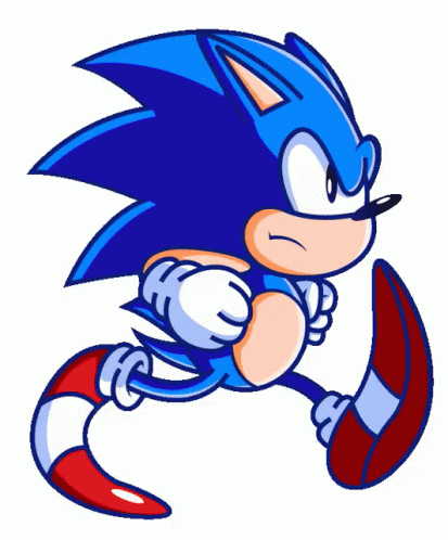 Go Sonic Run Faster Island Adventure downloading