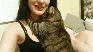 Cat Hug GIF - Cat Hug - Discover & Share GIFs