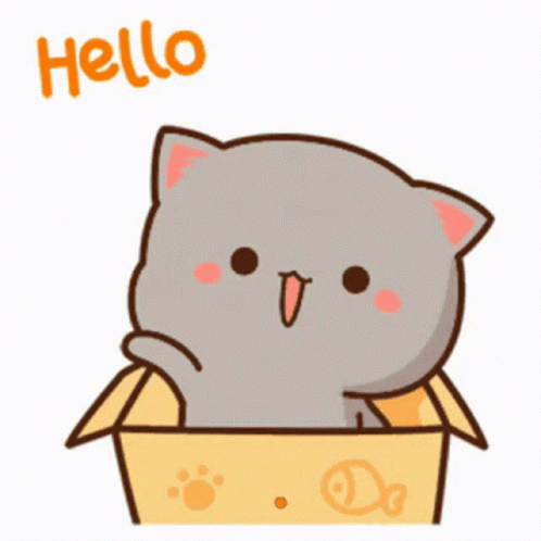 Hello Cute GIF - Hello Cute Cat - Descubre & Comparte GIFs