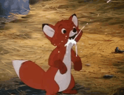 Todd Fox And Hound Gif Todd Foxandhound Milk Discover Share Gifs