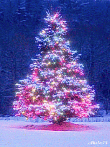 Merry Christmas Christmas Tree GIF - MerryChristmas ChristmasTree ...