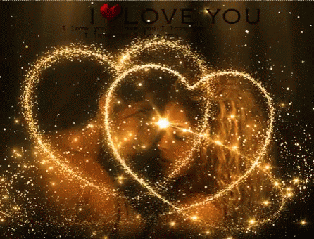 wild at heart gif wild at heart gif