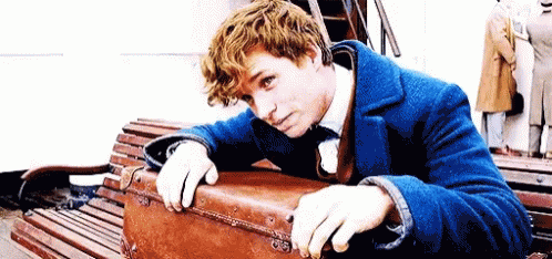 pix Fantastic Beasts Newt Scamander Gif fantastic beasts newt scamander gif fantasticbeasts newtscamander smile discover share gifs