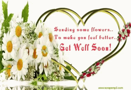 Get Well Soon Flowers GIF - GetWellSoon Flowers - Discover ...