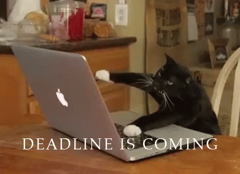 Deadline GIFs | Tenor