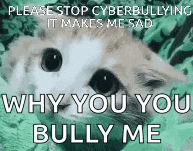 Cyber Bully Cyber Bully Cancer Discover Share