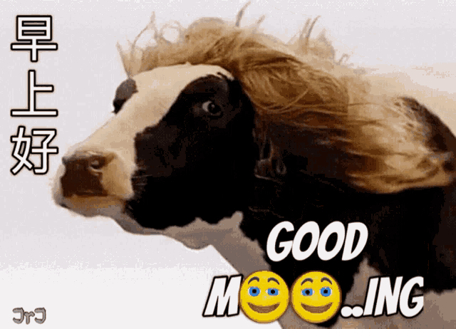 Cow Moo GIF - Cow Moo 早安 GIFs