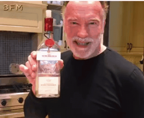 Conan Arnold Schwarzenegger GIF - Conan ArnoldSchwarzenegger Terminator GIFs