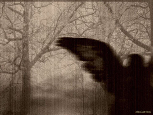 Wetenschappers Beweren Dat De Kwantumtheorie Bewijst Dat Het Bewustzijn Bij De Dood Naar Een Ander Universum Gaat 10 Via Angel-Wings Angel GIF - Angel GIFs