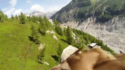 Flying Eagle Point Of View GIF - Birds Eagle - Discover & Share GIFs