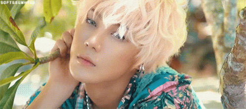 vav ayno gif vav ayno vavayno descubre comparte gifs vav ayno gif vav ayno vavayno descubre comparte gifs