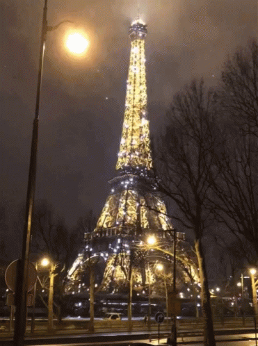 Eiffel Tower GIF - Eiffel Tower France - Discover & Share GIFs