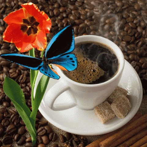 「coffee and butterfly gif」的圖片搜尋結果