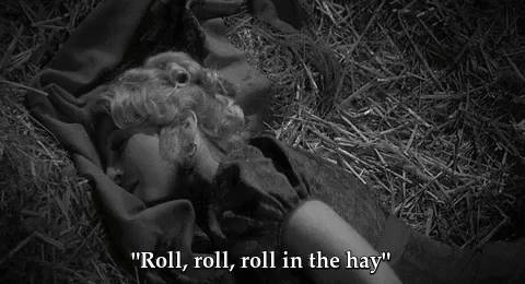 Image result for young frankenstein gif roll in the hay