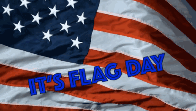 Flag Day American Flag GIF - FlagDay AmericanFlag June14 - Discover ...