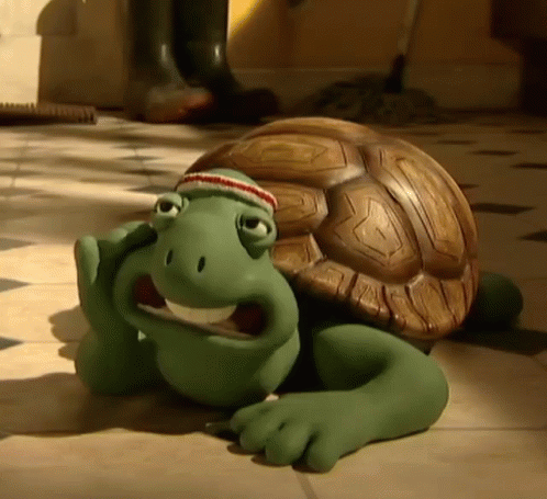 turtle reaction