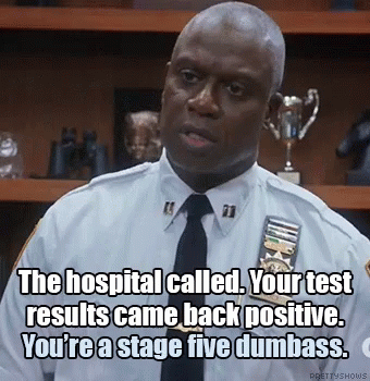Brooklyn Nine Nine Brooklyn99 GIF - BrooklynNineNine Brooklyn99 B99 GIFs