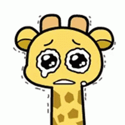 giraffe tears giraffe tears