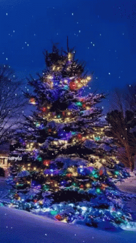 xmas colors gif xmas