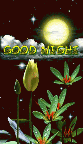 Good Night Full Moon GIF - GoodNight FullMoon Twinkle - Discover ...