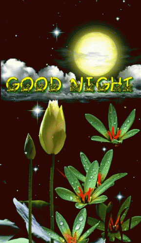 good night full moon