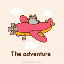 Pusheen Plane GIF - Pusheen Plane GIFs