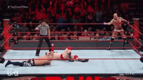 Tag Team GIF - Tag Team Wwe - Discover & Share GIFs