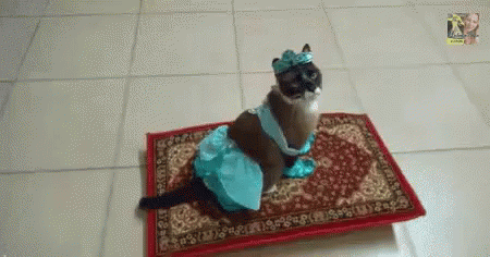 Whole New World Gifs Tenor Whole New World Gifs Tenor