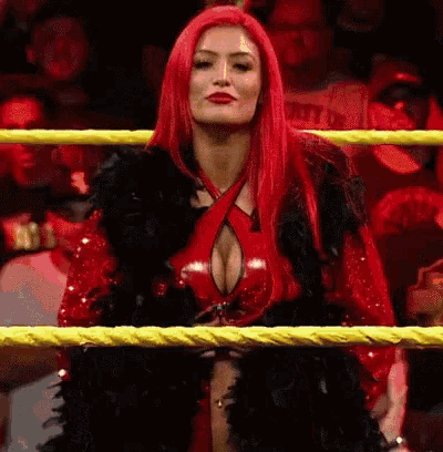 Картинки по запросу wwe eva marie
