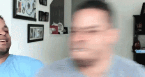 gif Hodge twins