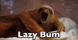 Image result for lazy bums gif