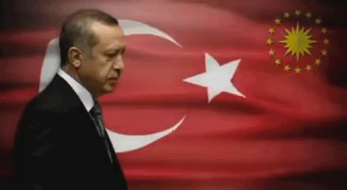 Erdogan Bayrak GIF - ErdoganBayrak - Discover & Share GIFs