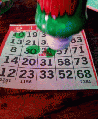 bingo gifs tenor