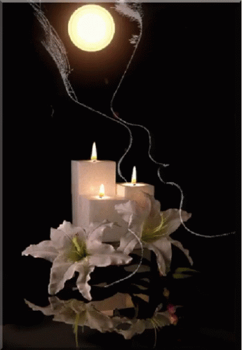 Candle Light GIF - Candle Light Flower - Discover & Share GIFs