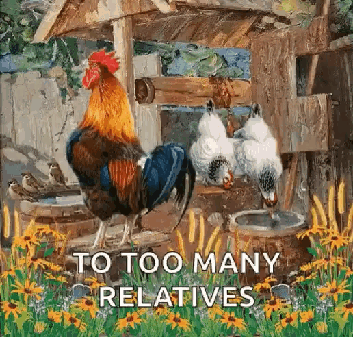 Chickens All Gif Chickens All Those Discover Share Gifs - Vrogue