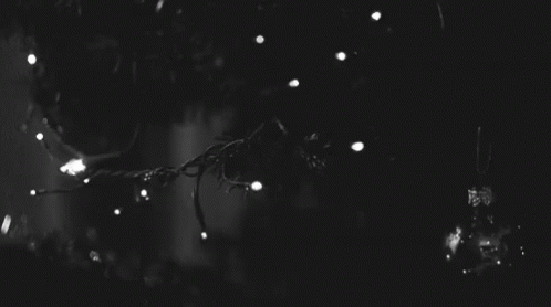 christmas lights gif christmaslights
