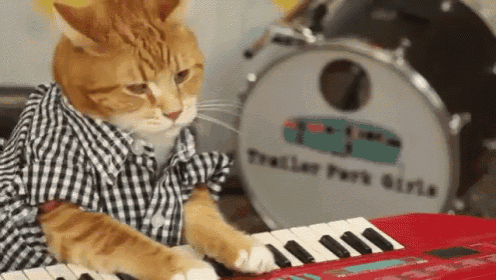 Cats Love Erasure GIF - Cats Organ Play GIFs