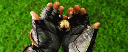Snitch Harry Potter GIF - Snitch HarryPotter GoldenSnitch ...