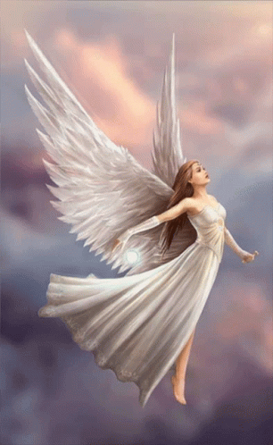 Angel Wings Gif Angel Wings Bird Discover Amp Share Gifs - Bank2home.com