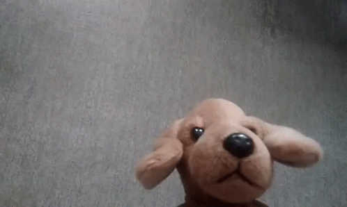 Im Out Of Here Dog Gif Imoutofhere Dog Stuffy Discover Share Gifs Im Out Of Here Dog Gif Imoutofhere Dog Stuffy Discover Share Gifs
