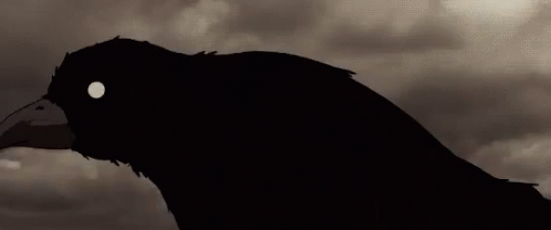 Kizumonogatari Anime GIF - Kizumonogatari Anime Crow GIFs