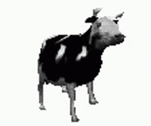 Cow Dancing GIF - Cow Dancing Animal - Discover & Share GIFs