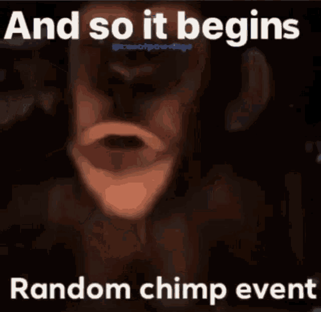 Re: random chimp event.