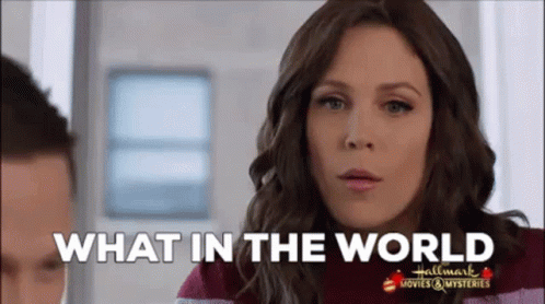 17 Students Shared Hilariously Worst Reasons College Admission Officers Reject Them Sense Sensibility And Snowmen Erin Krakow GIF - SenseSensibilityAndSnowmen ErinKrakow WhatInTheWorld GIFs