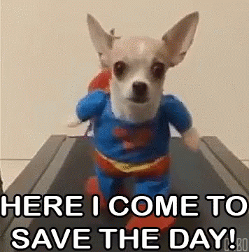 Save The Day GIFs | Tenor
