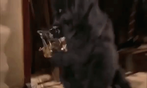 ÐаÑÑинки по запÑоÑÑ gif маÑÑÐµÑ Ð¸ маÑгаÑиÑа