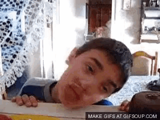 windowlicker gif windowlicker discover share gifs