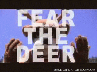 Image result for fear the deer gif