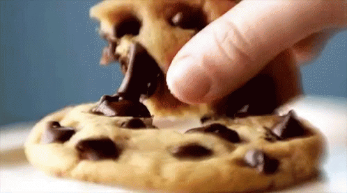 Image result for Chocolate Chip Day gif