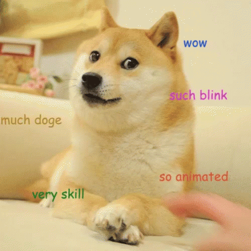 Much Doge GIF - Meme Doge MuchDoge - Discover & Share GIFs